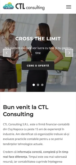 CTL Consulting